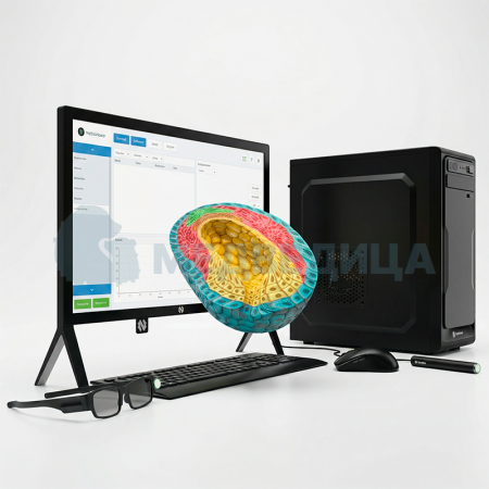 Голографический класс NettleDesk
